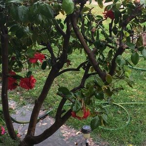 Meet your Posher, Louise